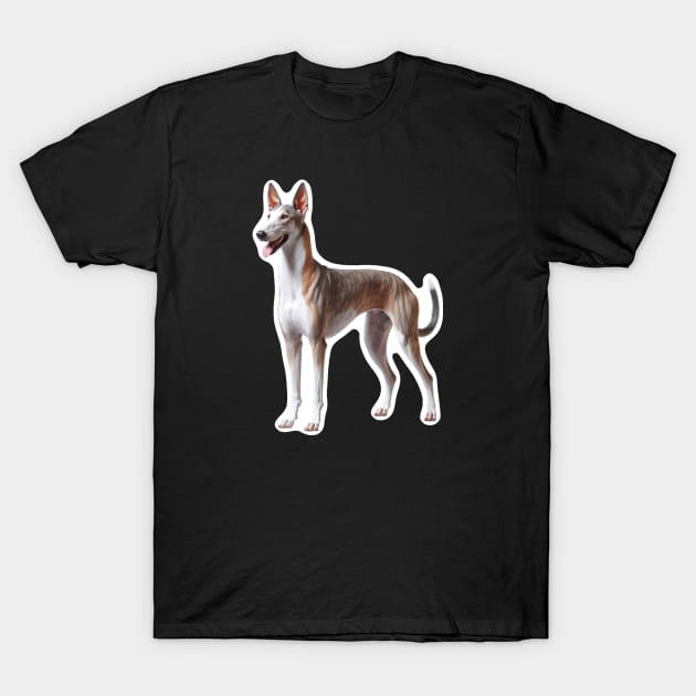 Azawakh T-Shirt by millersye